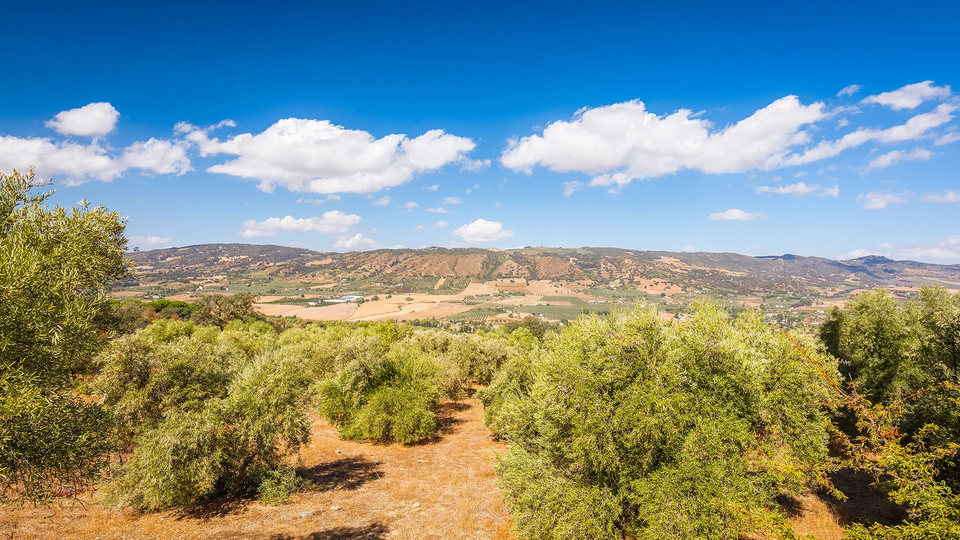 Ronda, finca de 4 dormitorios en venta