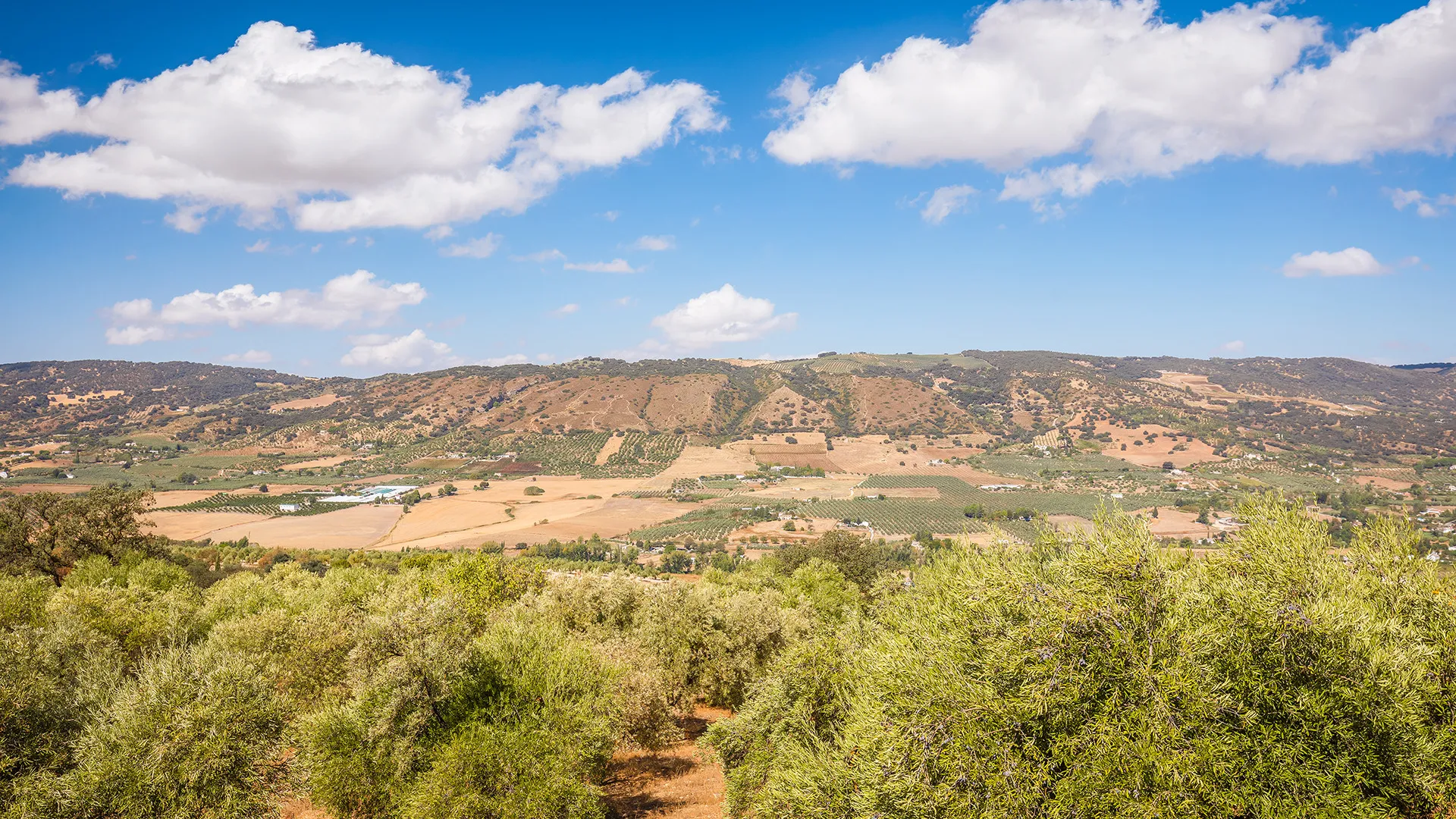 Ronda, finca de 4 dormitorios en venta