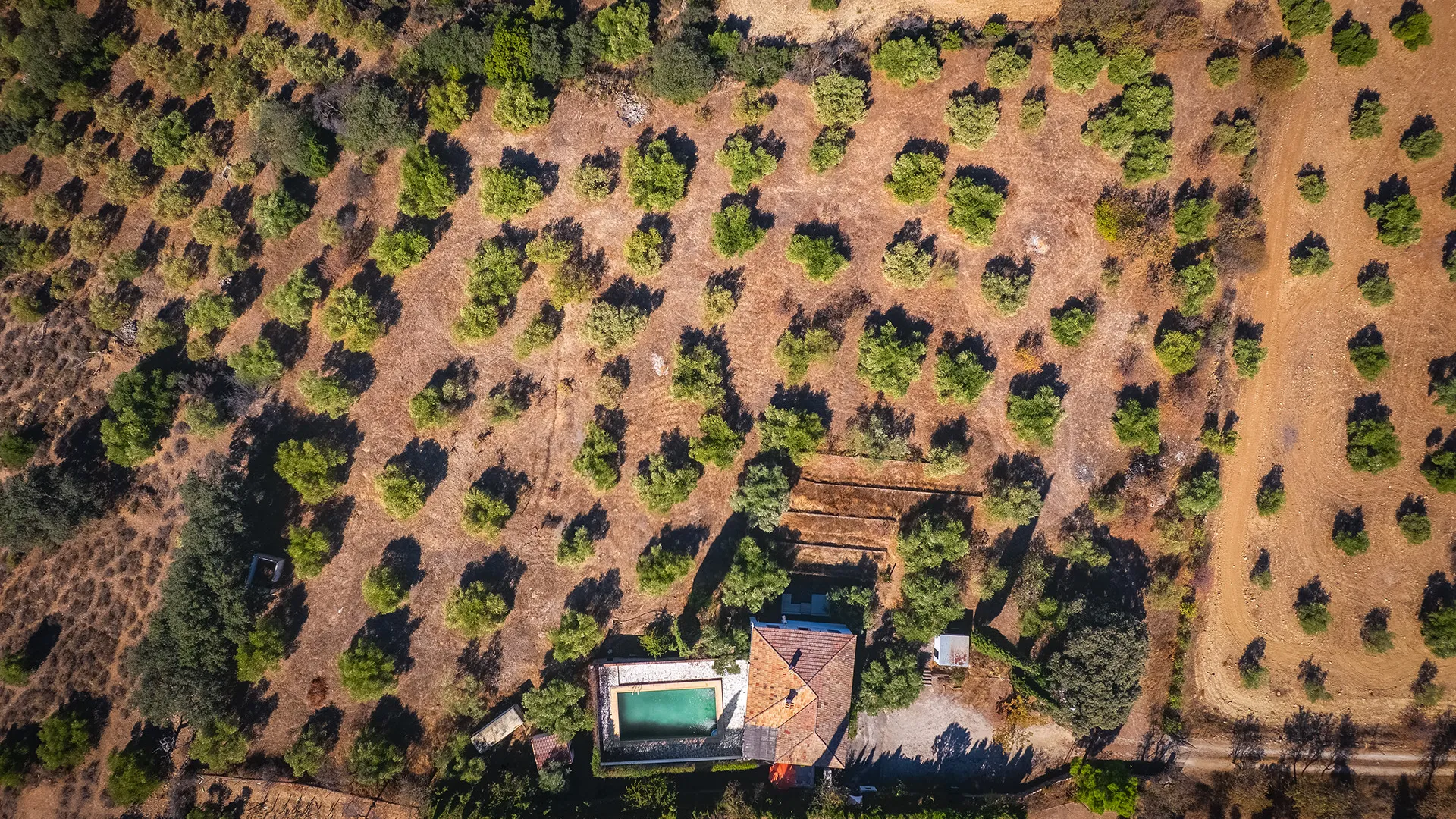 Ronda, finca de 4 dormitorios en venta
