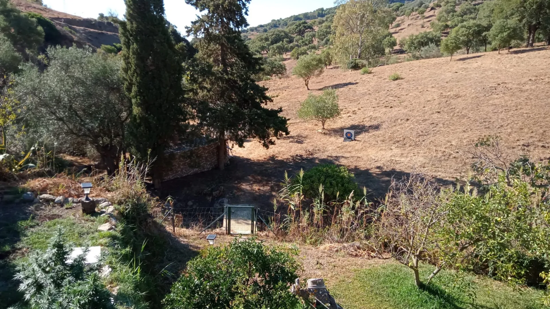 Casares, finca en venta