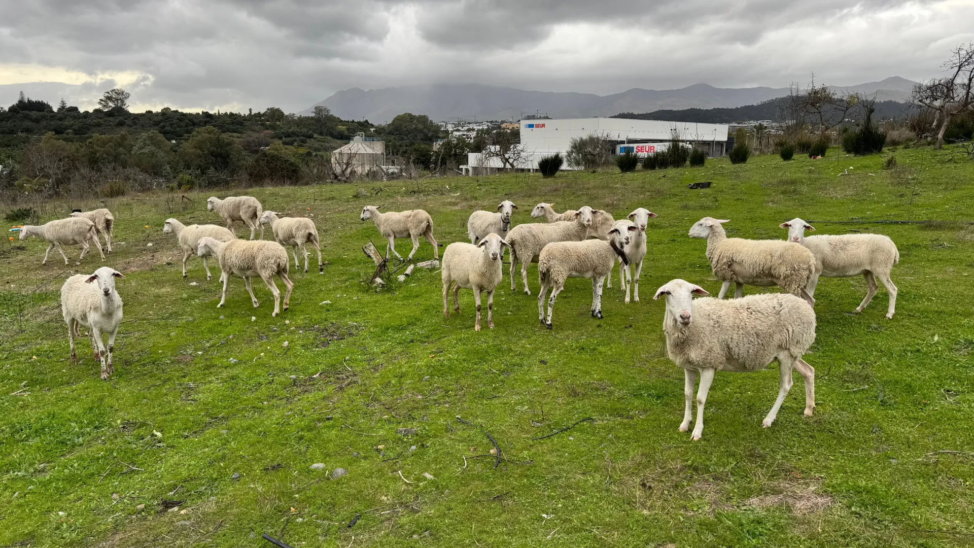 Se vende finca con 4 dormitorios en Guadalmansa