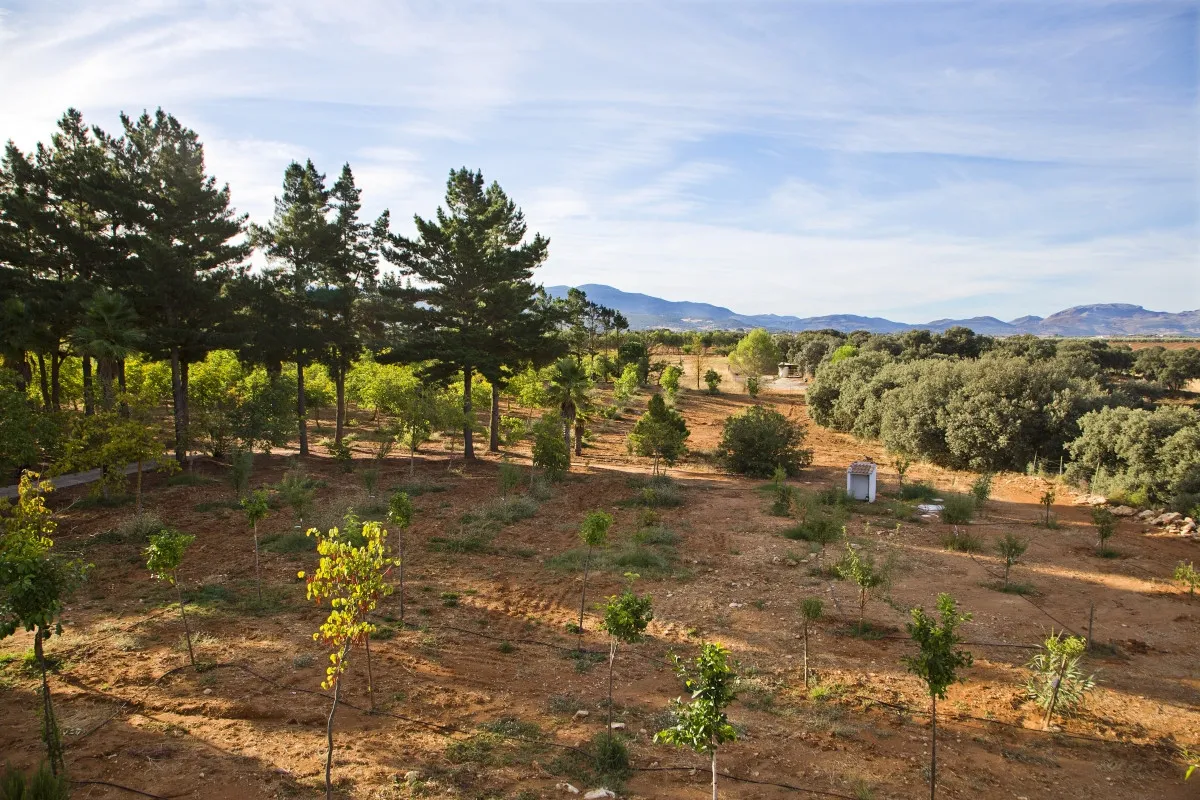 Ronda, casa de campo en venta