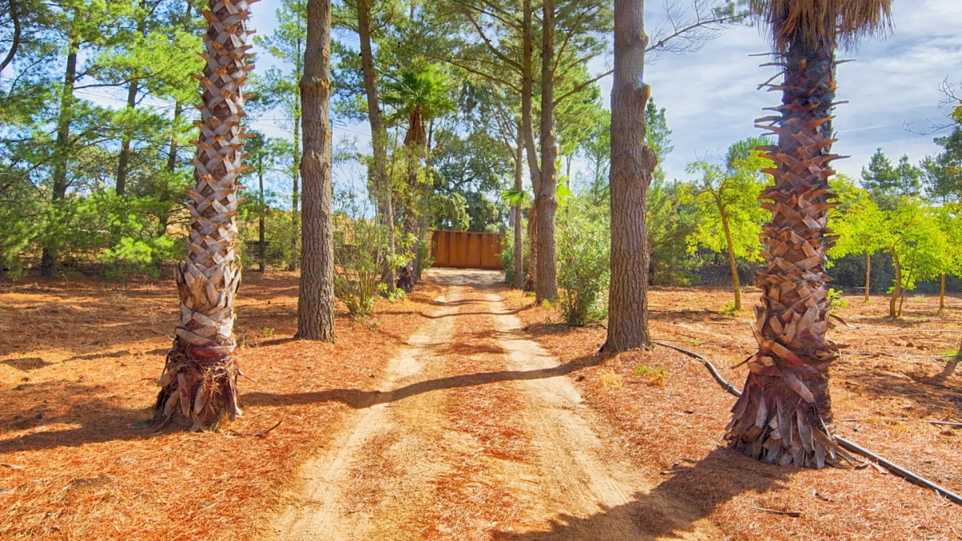 Ronda, casa de campo en venta