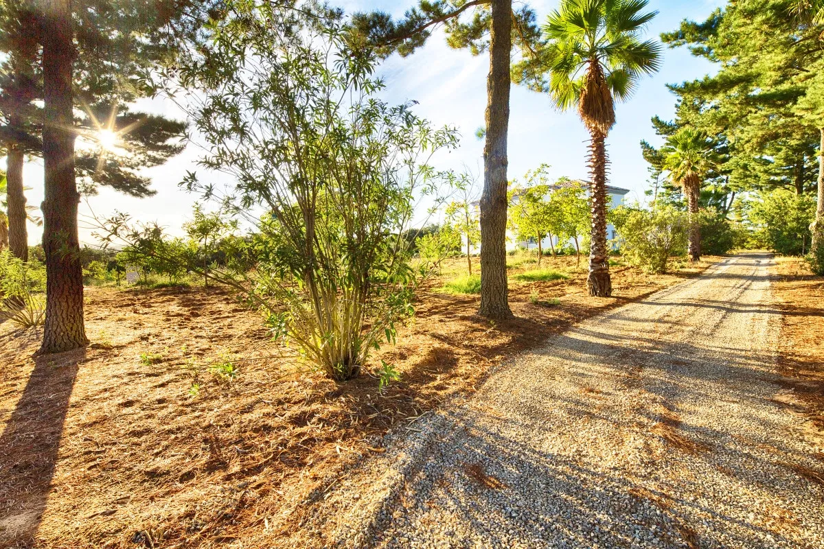 Ronda, casa de campo en venta