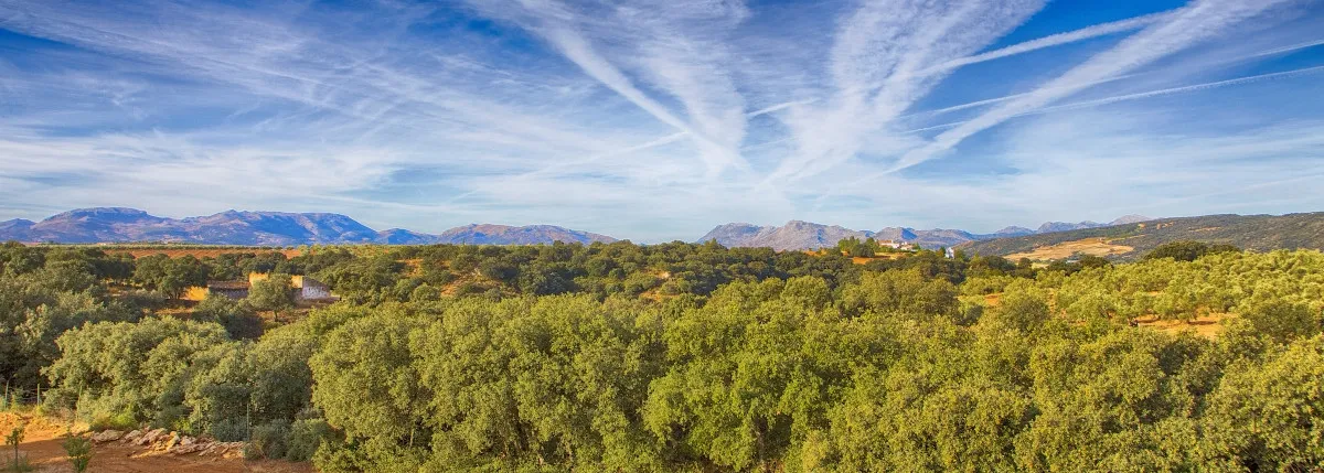 Ronda, casa de campo en venta