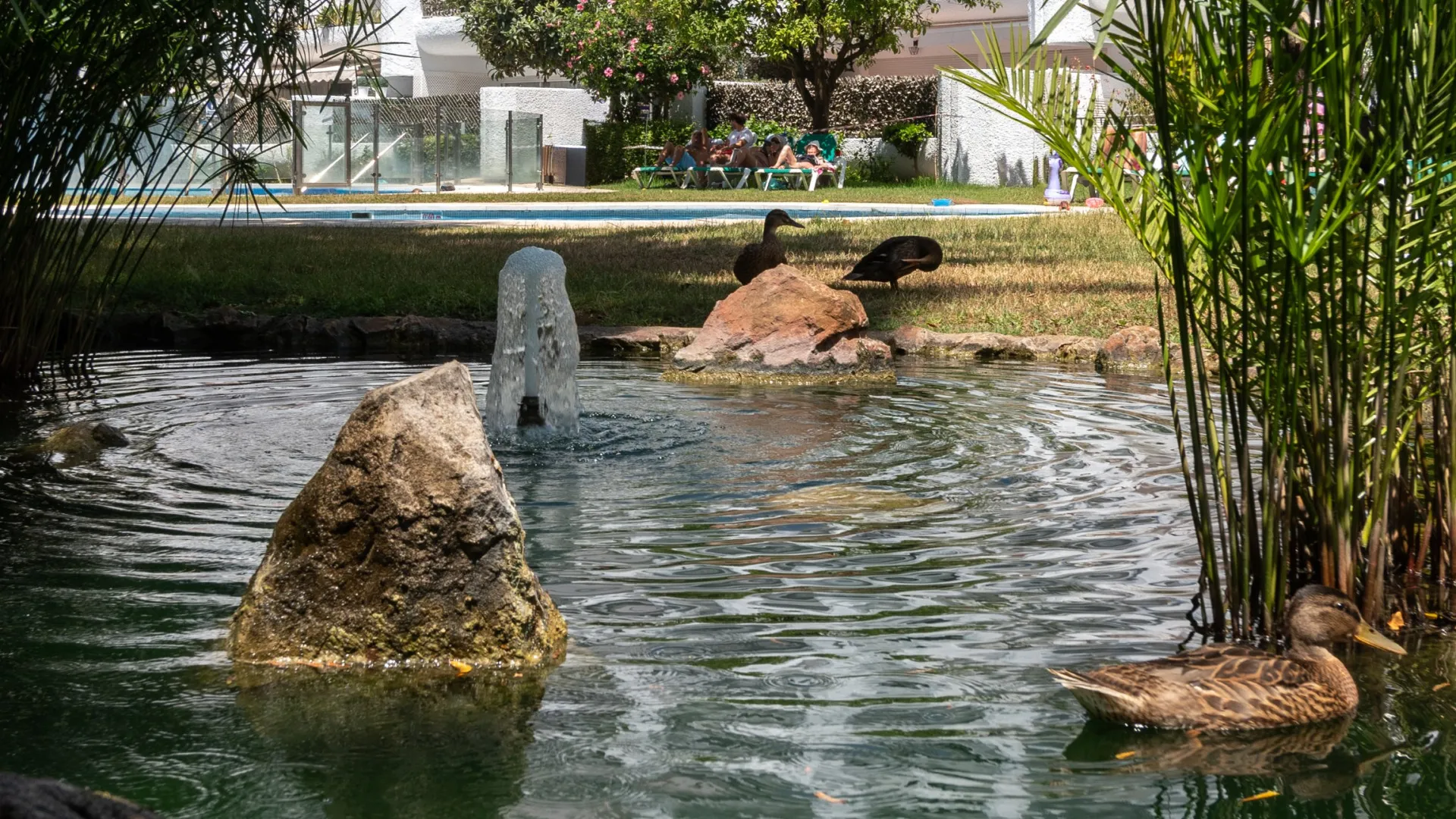 Jardines del Mar 1 bedroom apartment for sale