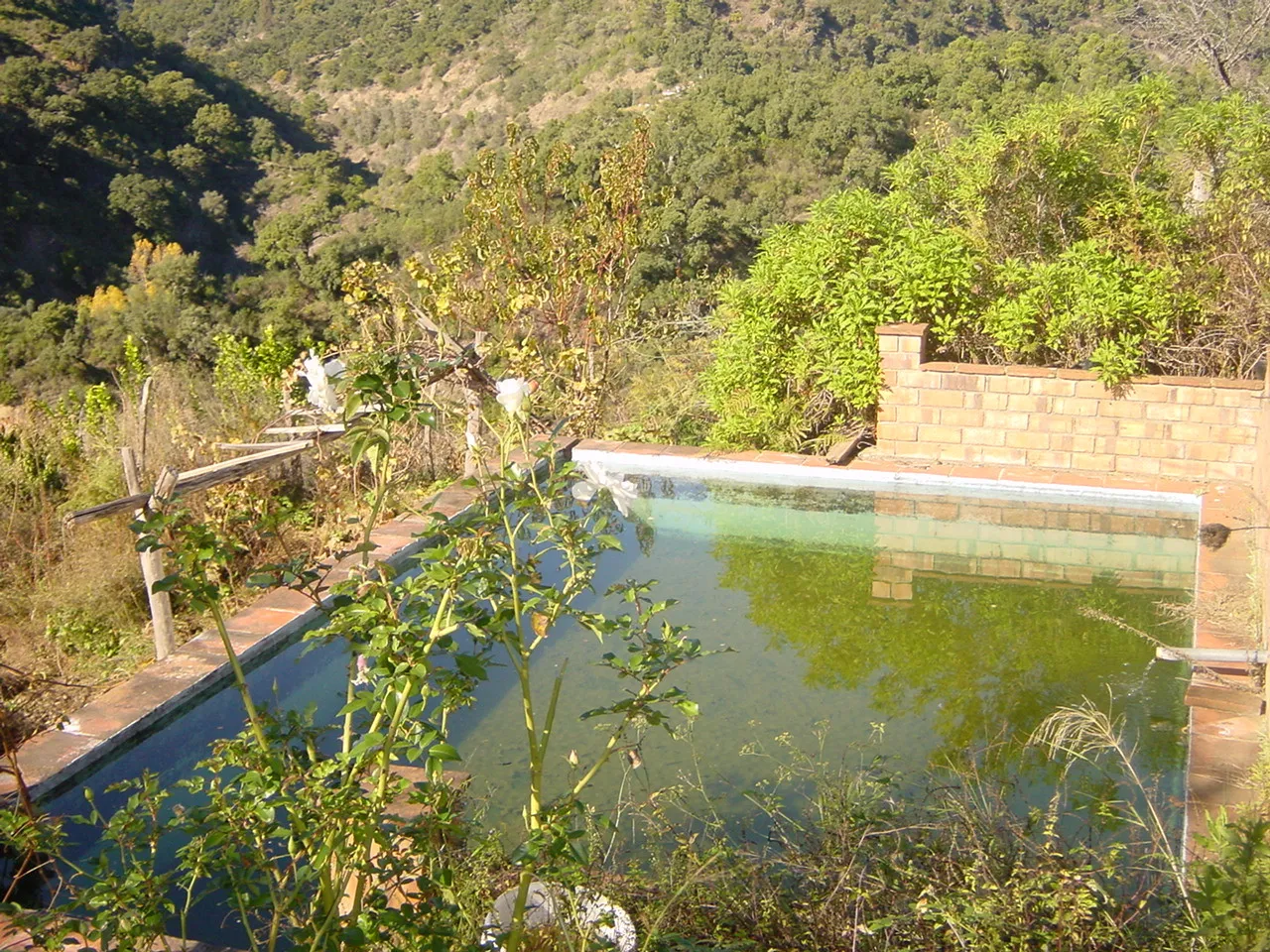 Jubrique, finca en venta de 2 dormitorios