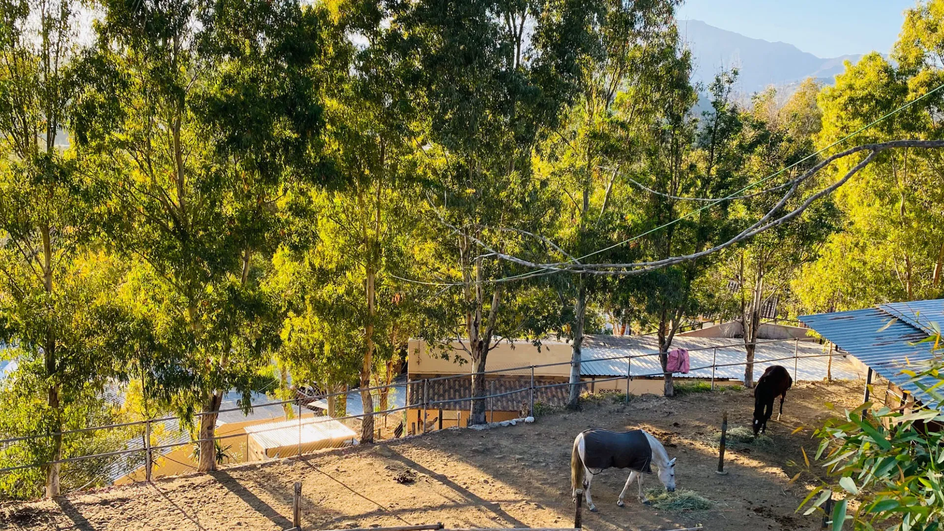 Mijas Costa, finca en venta con 3 dormitorios