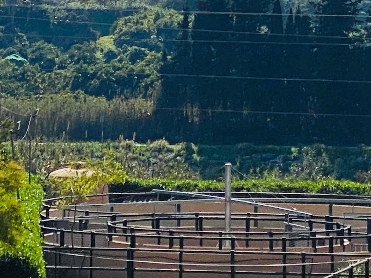 Mijas Costa, finca en venta con 3 dormitorios