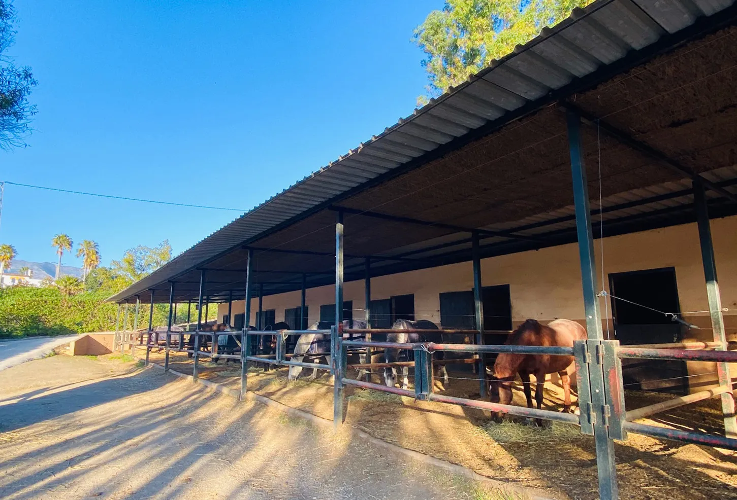 Mijas Costa, finca en venta con 3 dormitorios