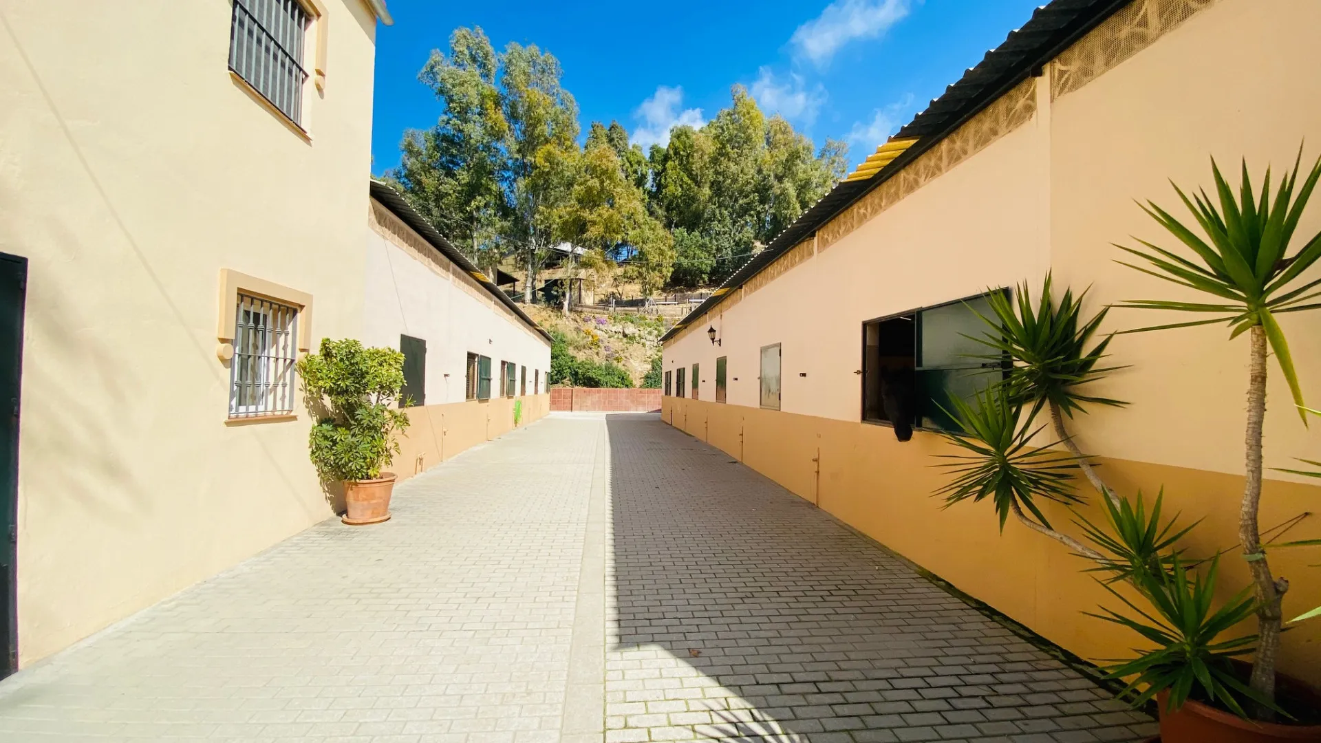Mijas Costa, finca en venta con 3 dormitorios