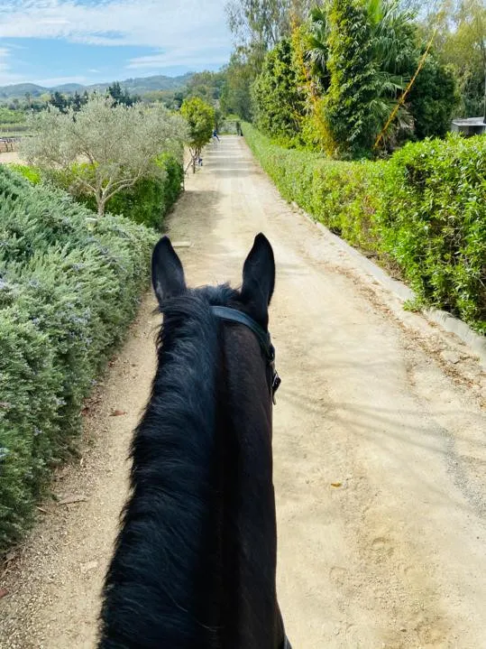 Mijas Costa, finca en venta con 3 dormitorios