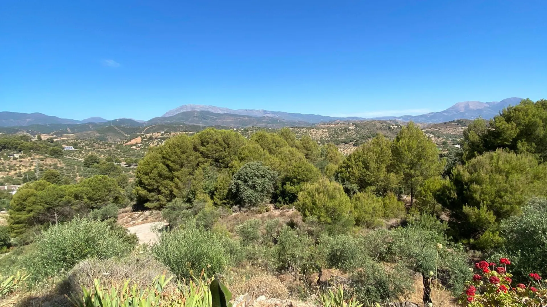 Buy finca in Monda