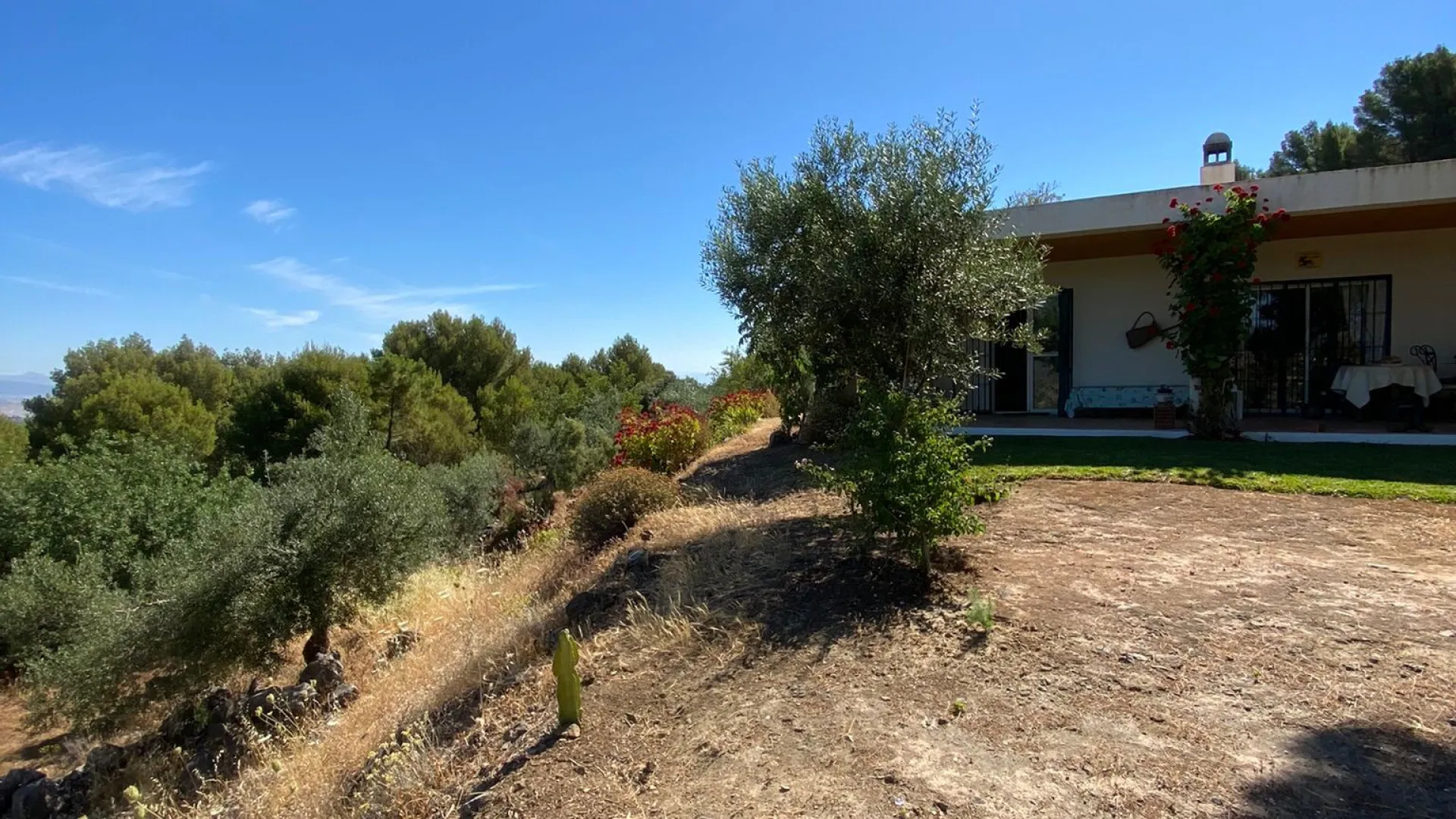 Buy finca in Monda