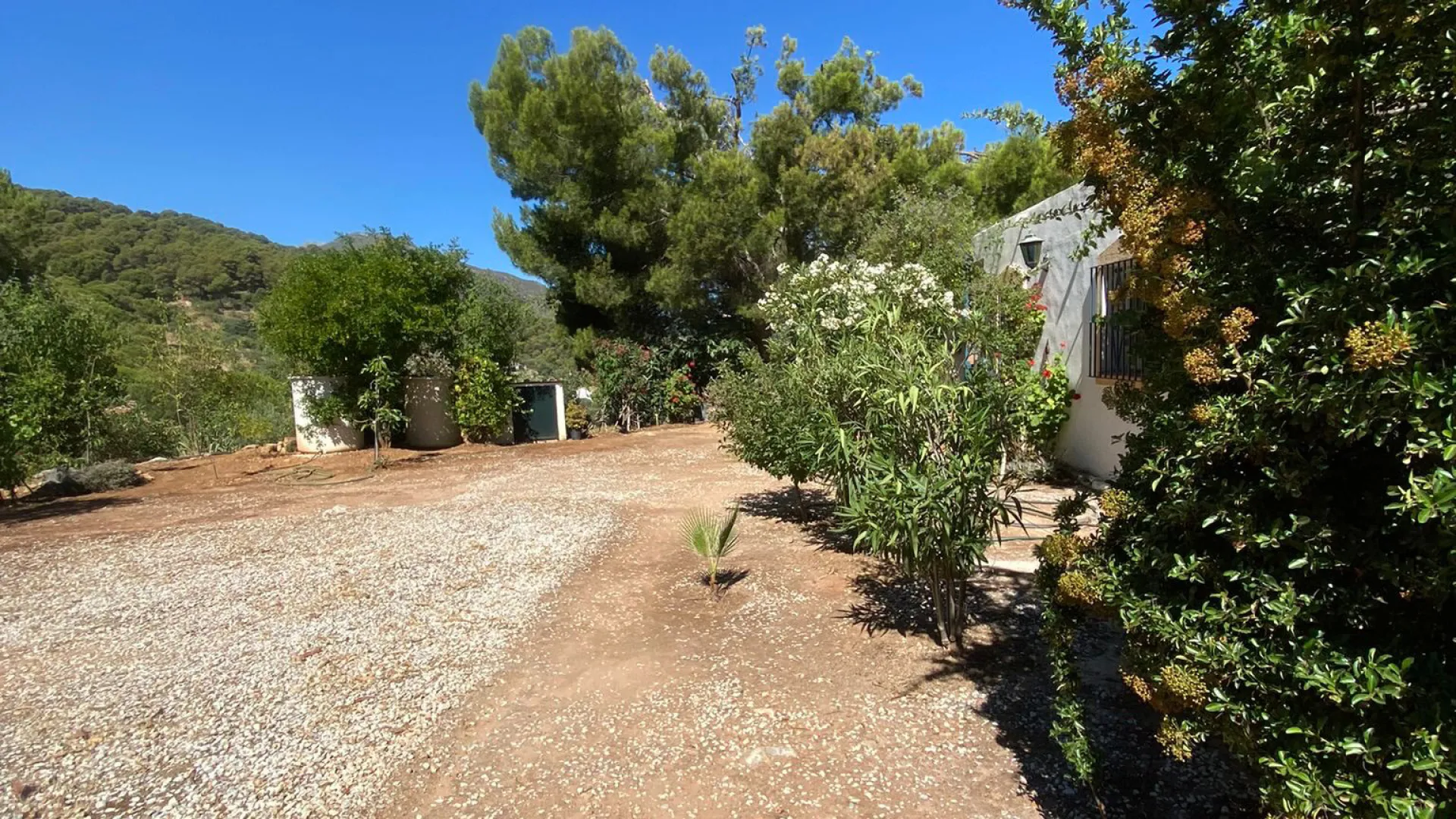 Buy finca in Monda
