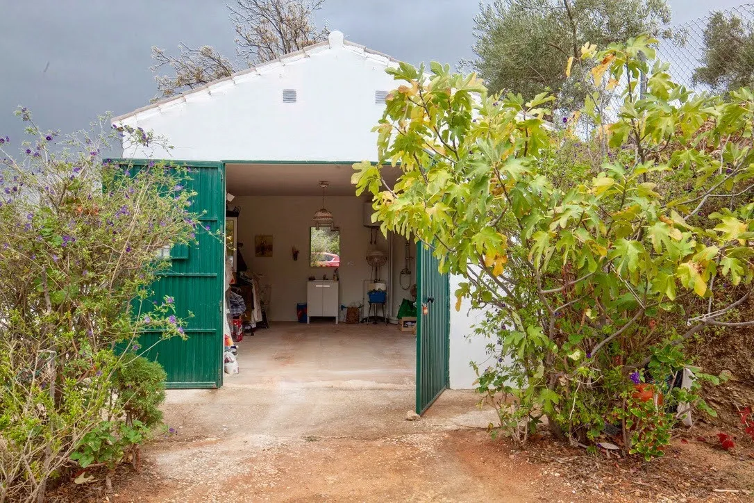 Buy finca in Monda