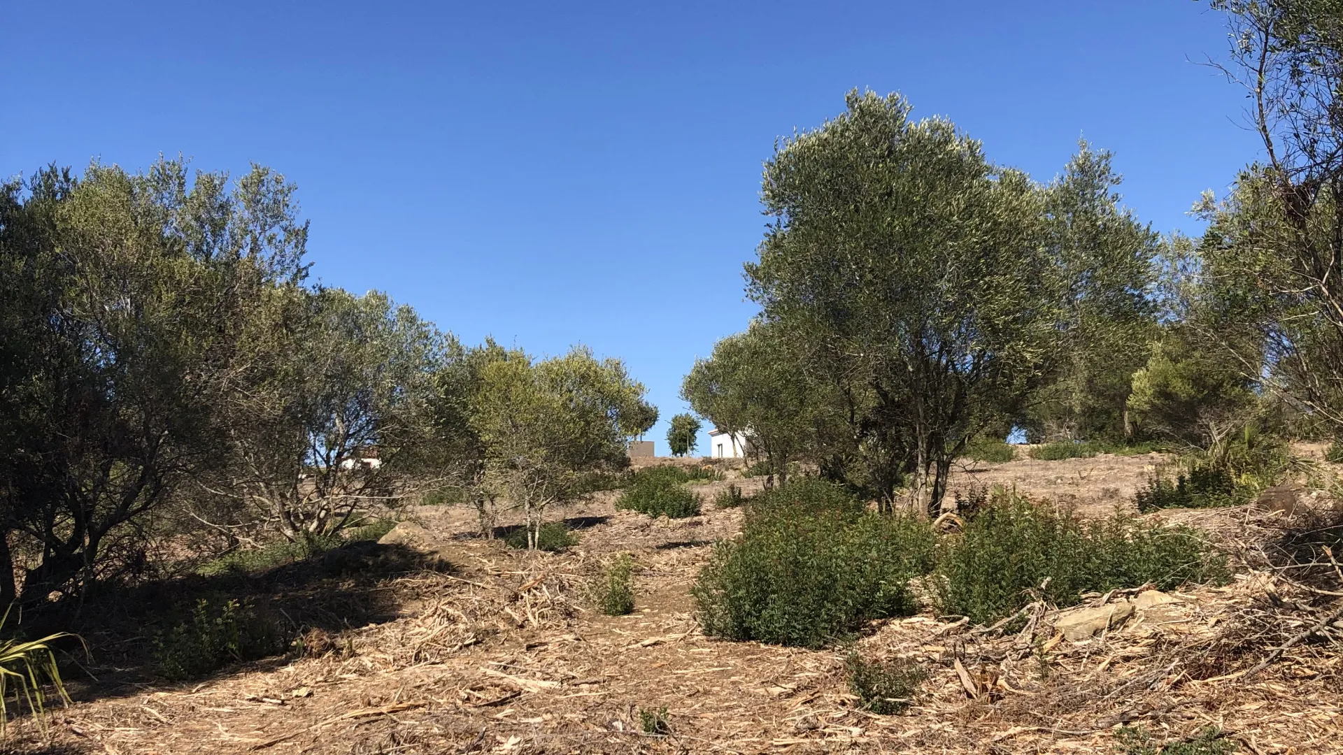 Plot in Zona L for sale