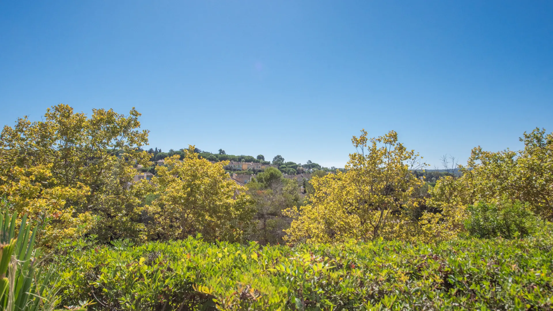 For sale apartment in Valgrande