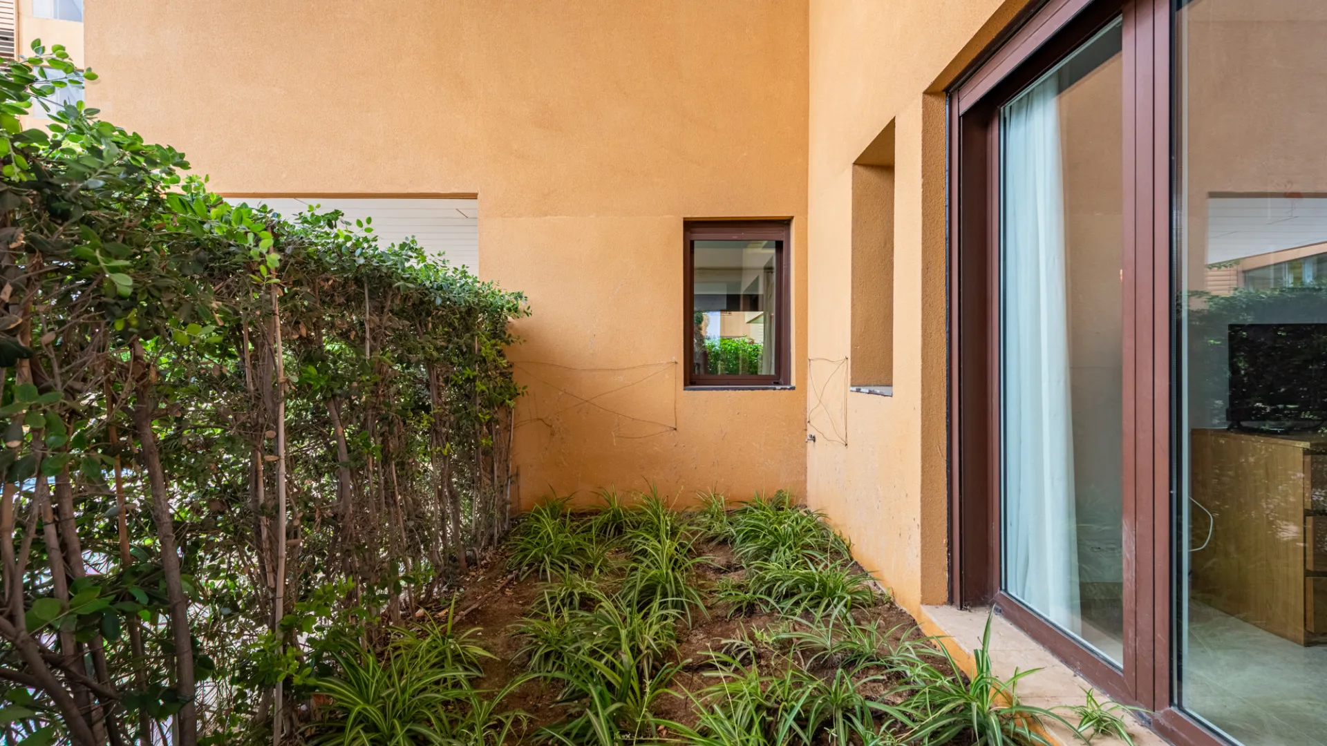 Buy ground floor apartment in Ribera del Marlin