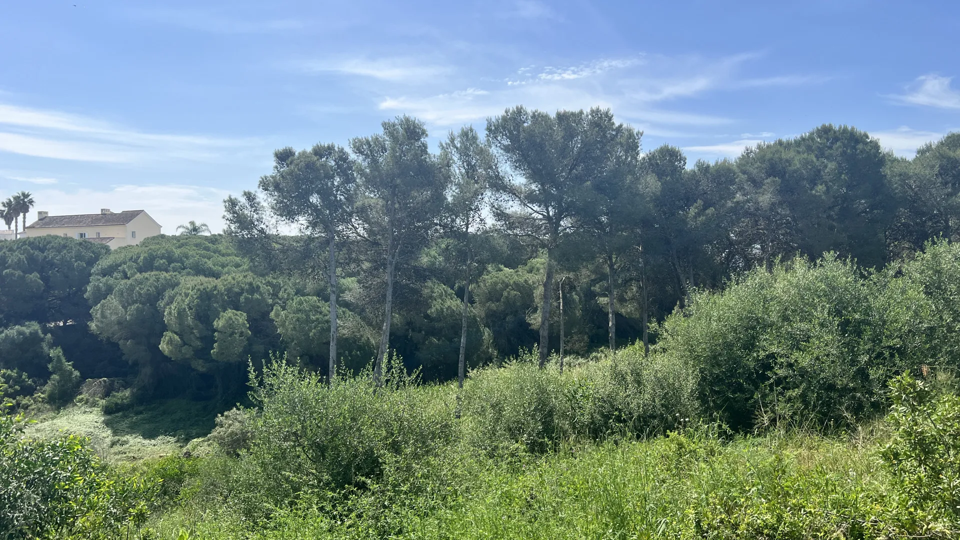 Zona M, parcela a la venta