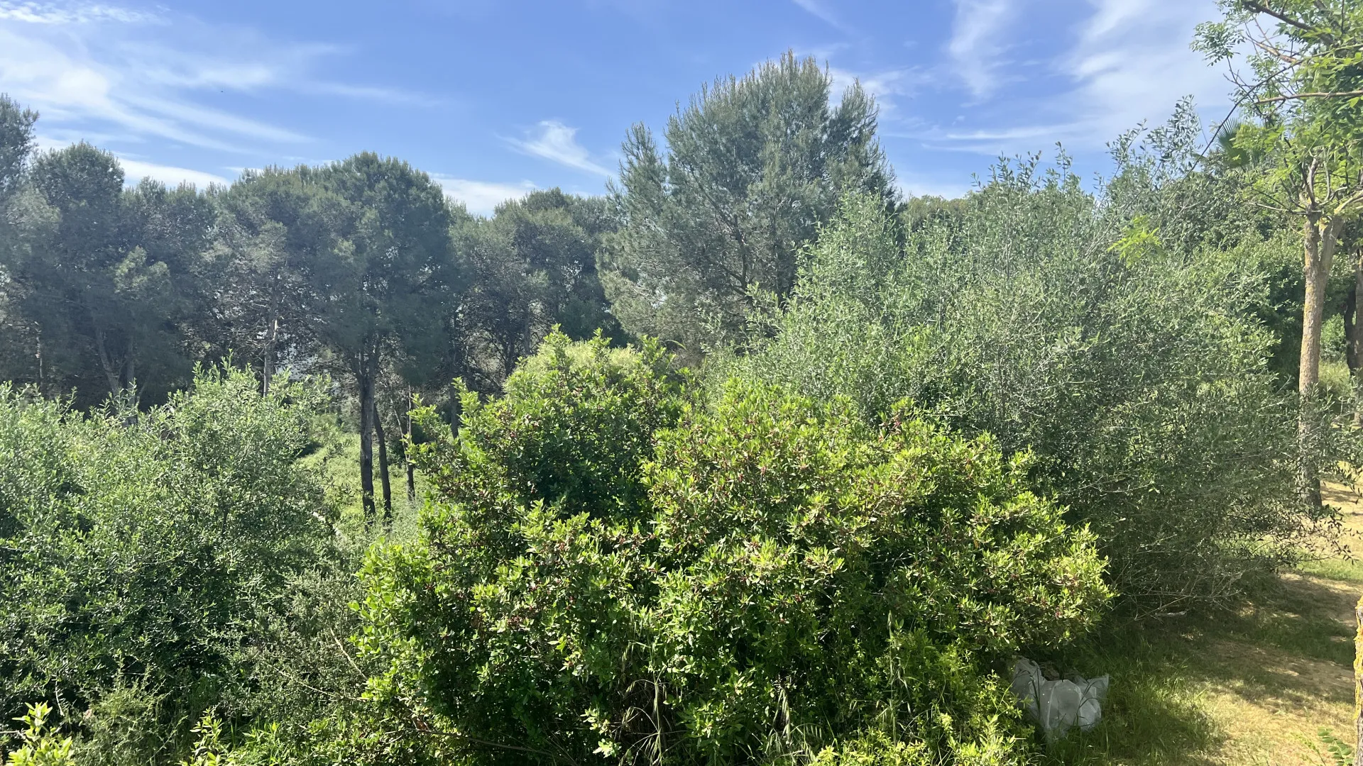 Zona M, parcela a la venta