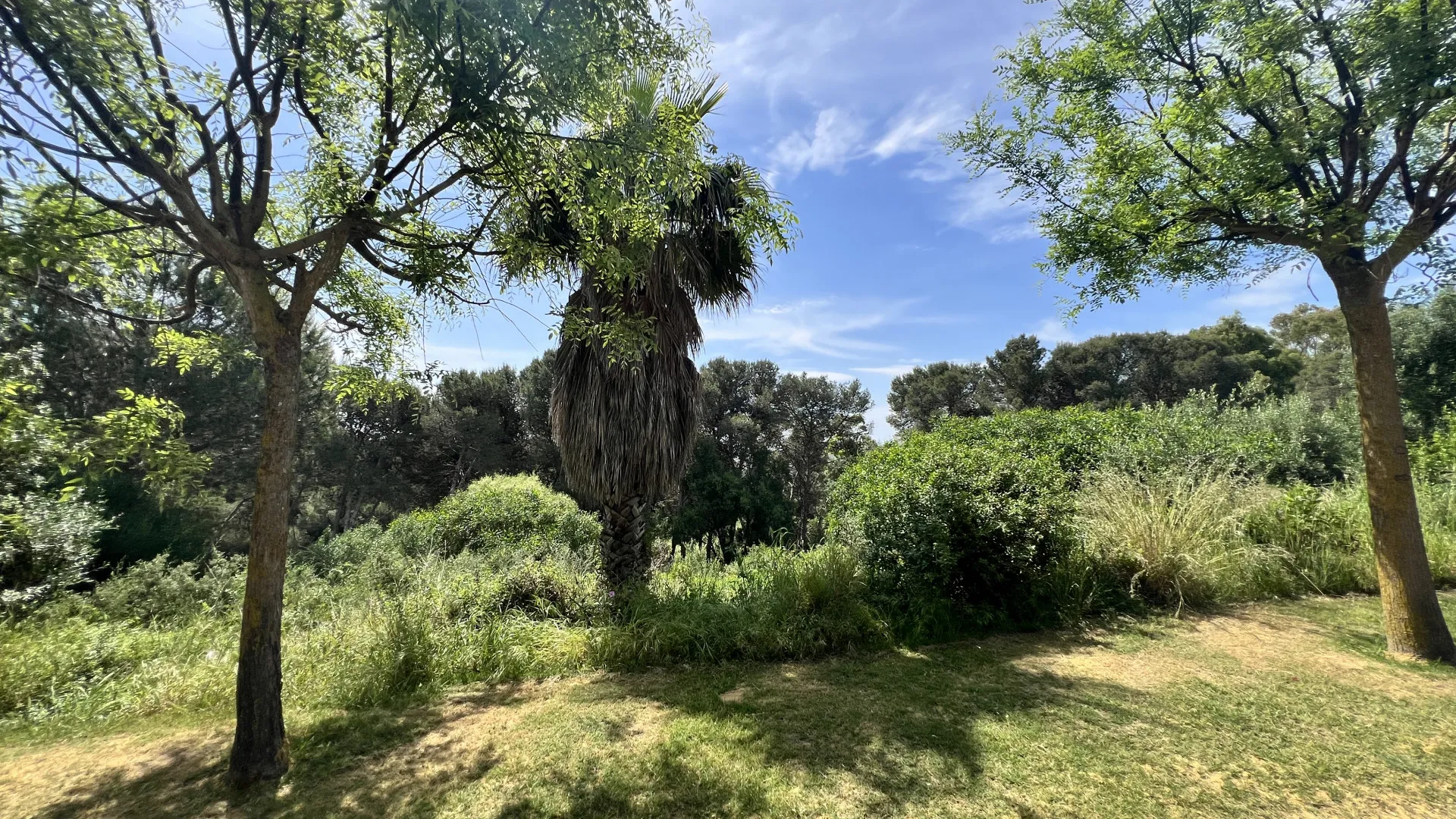 Zona M, parcela a la venta