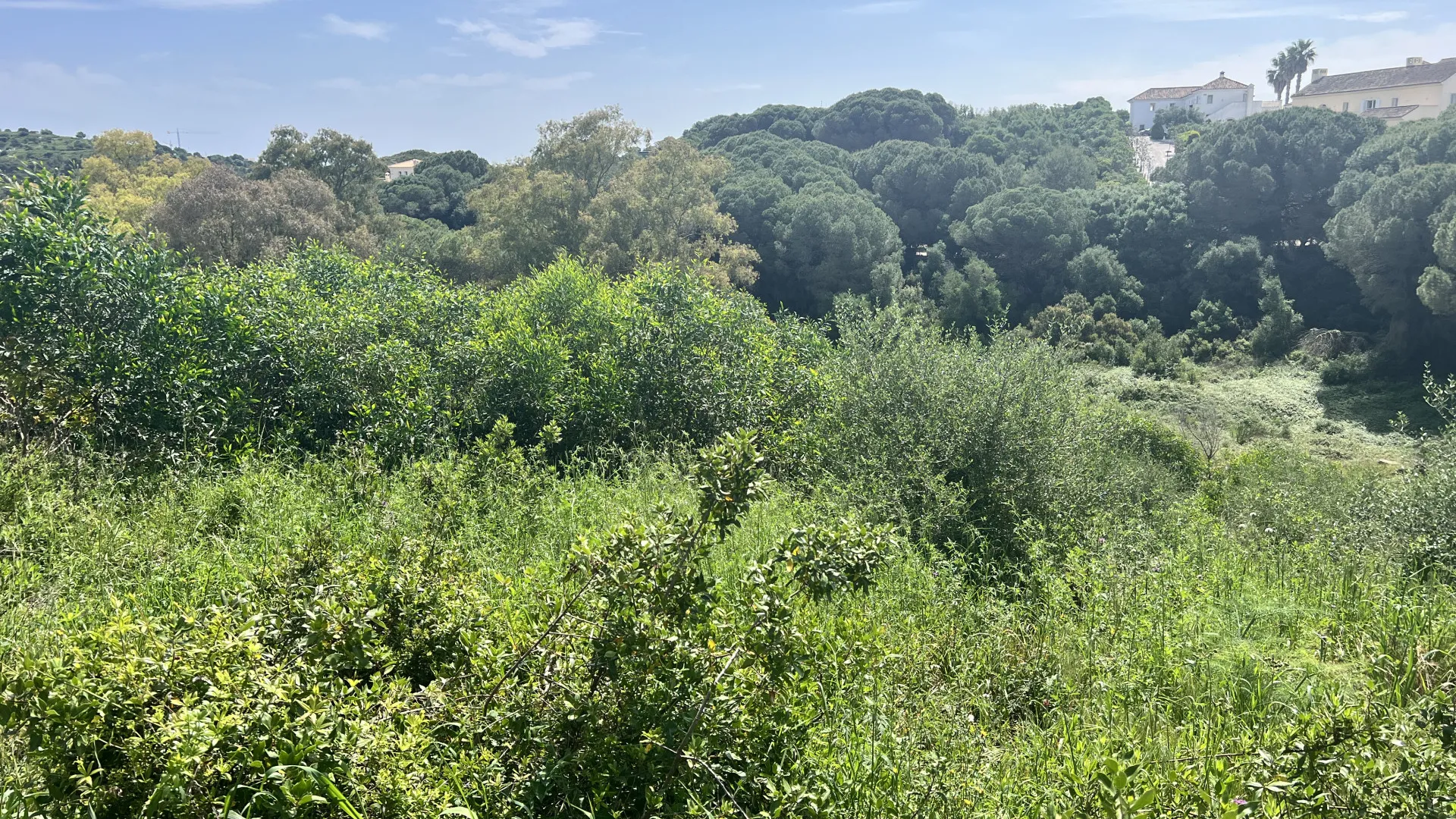Zona M, parcela a la venta