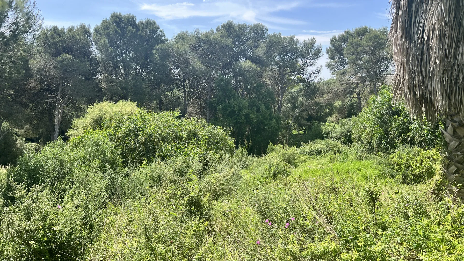 Zona M, parcela a la venta