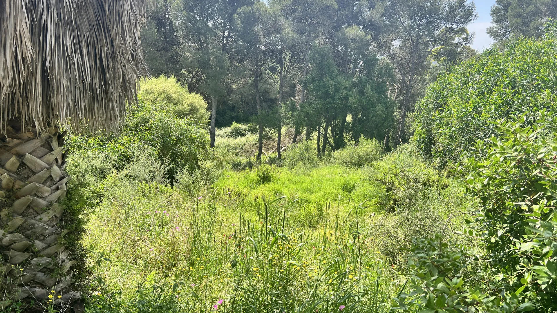Zona M, parcela a la venta