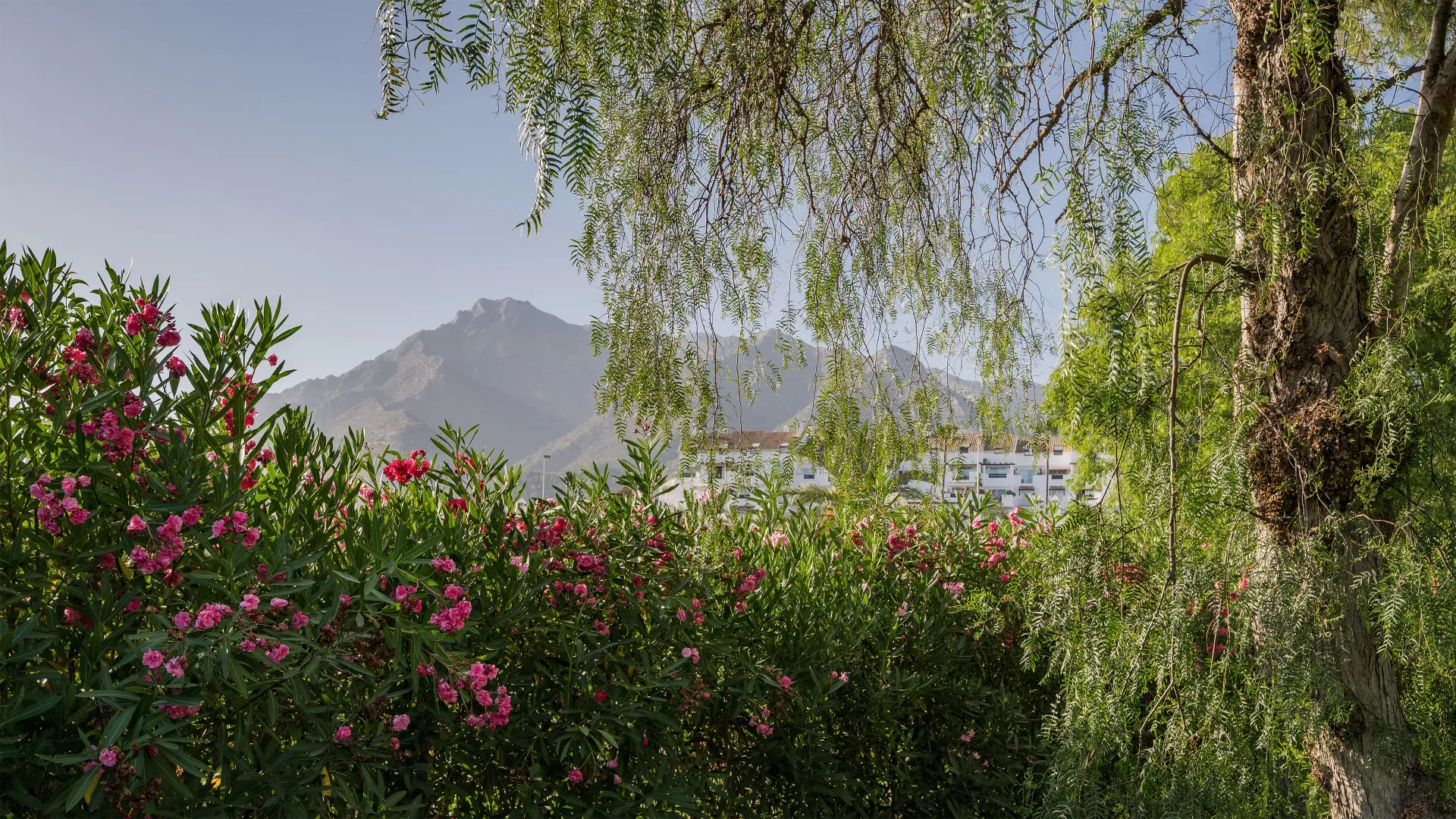 Marbella Golden Mile 4 bedrooms villa for sale