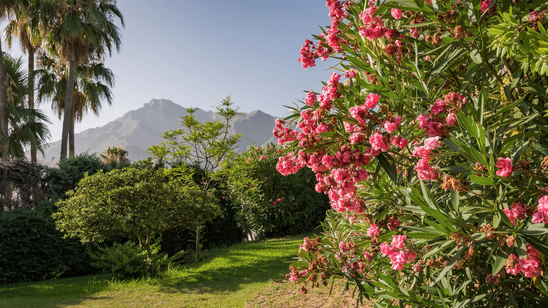 Marbella Golden Mile 4 bedrooms villa for sale
