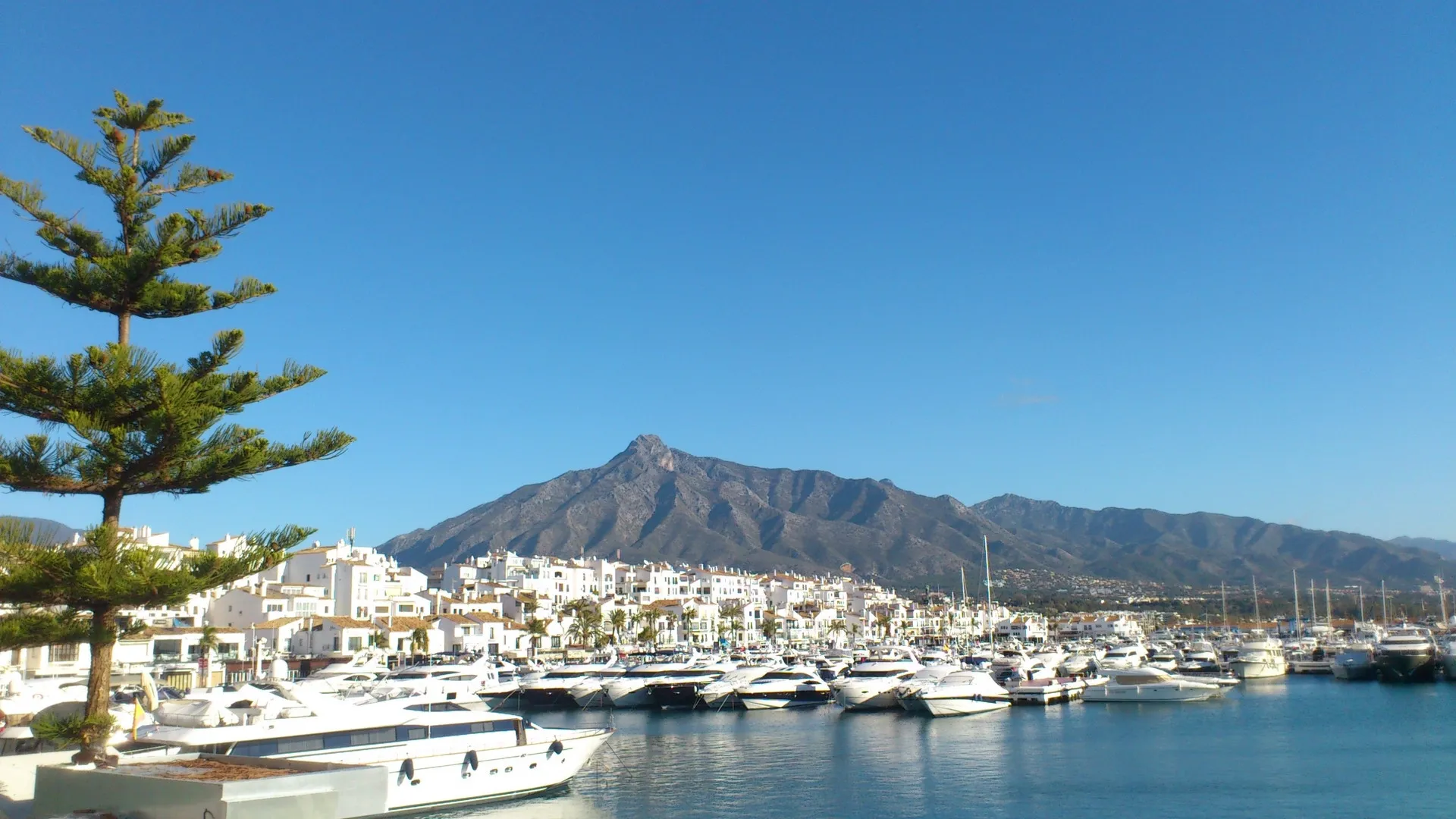 Villa con 4 dormitorios en venta en Selwo