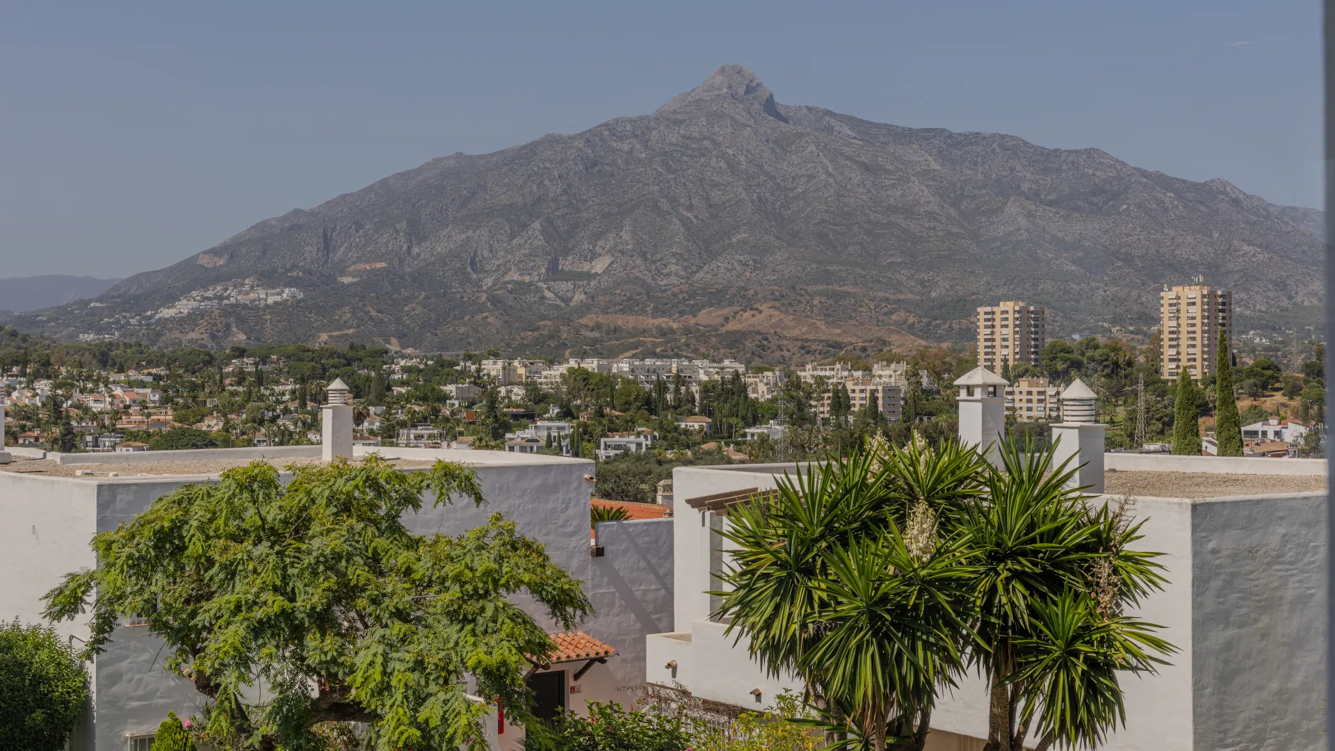 Buy Nueva Andalucia apartment