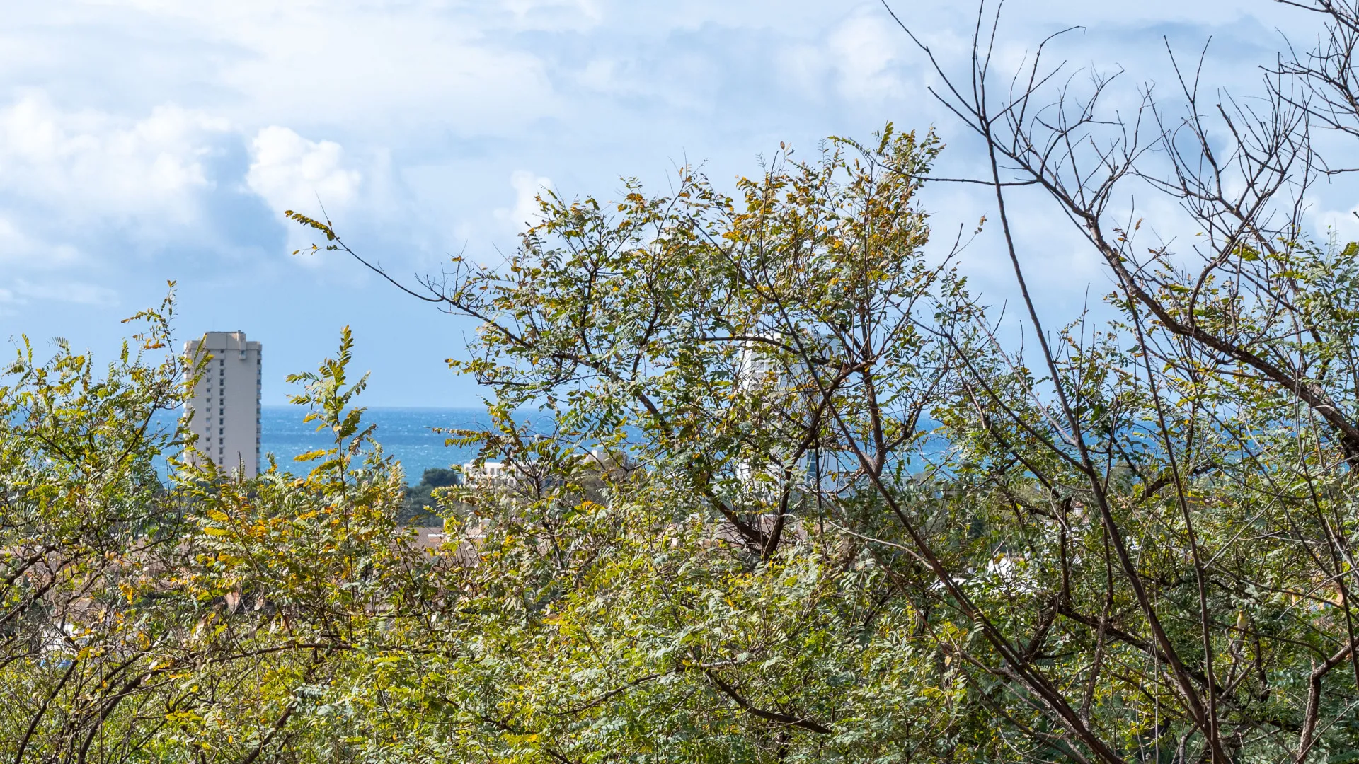 Apartment with 2 bedrooms for sale in Elviria