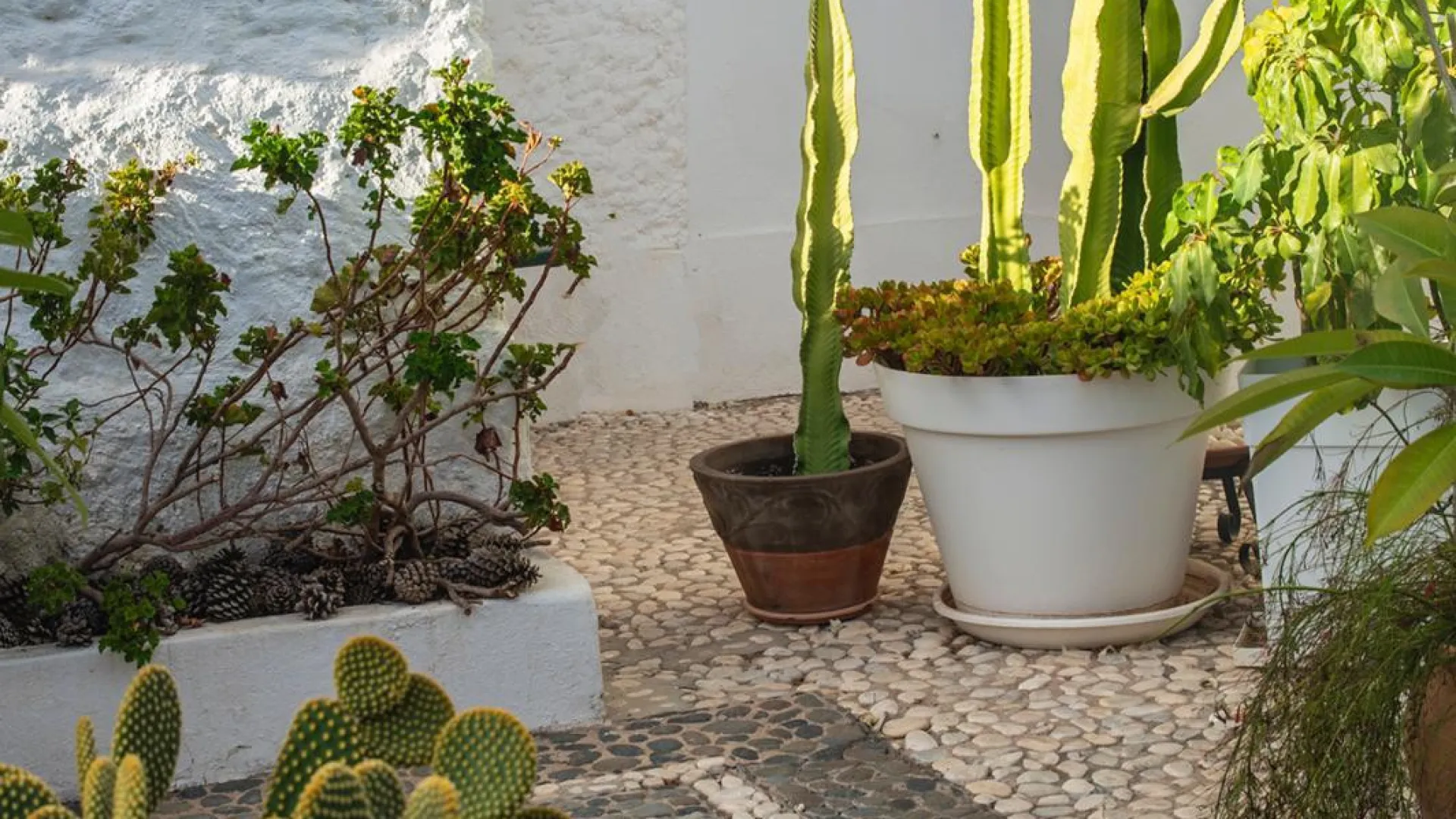 For sale Las Chapas apartment with 2 bedrooms