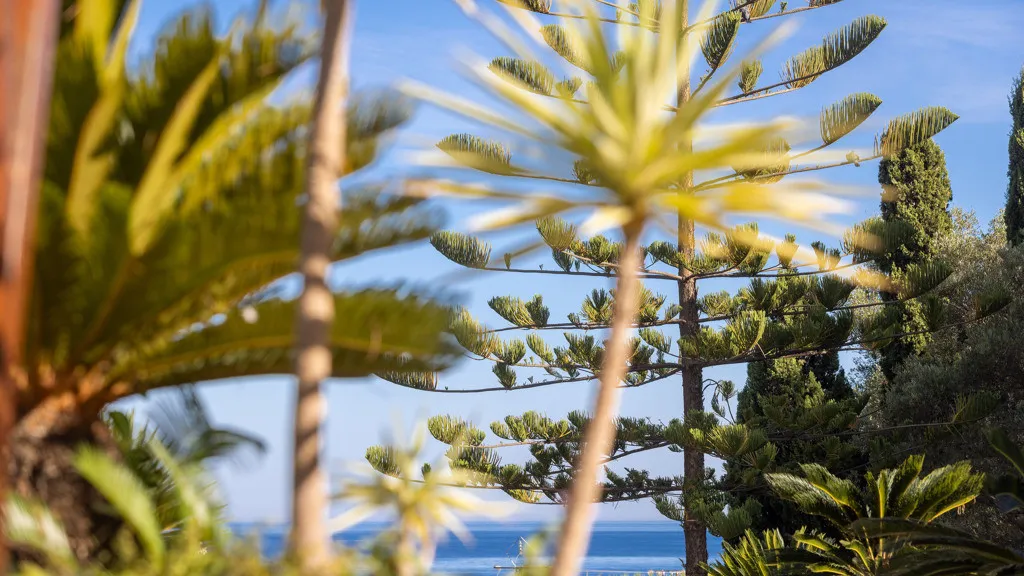 Buy Estepona 5 bedrooms chalet