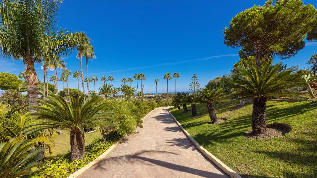 Buy Estepona 5 bedrooms chalet