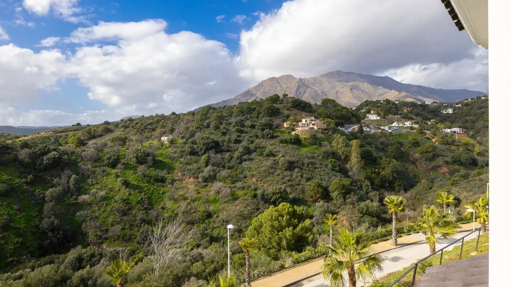 2 bedrooms Estepona apartment for sale