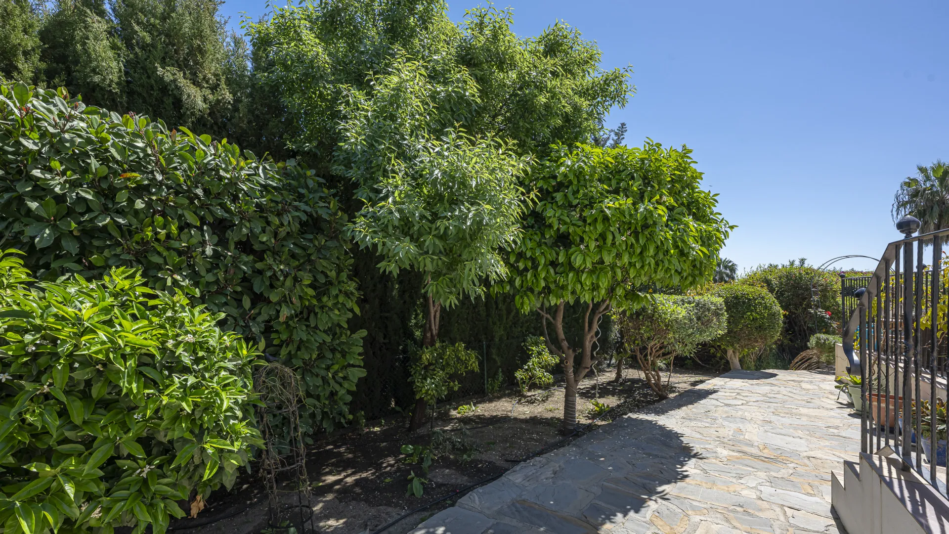 Estepona 6 bedrooms villa for sale