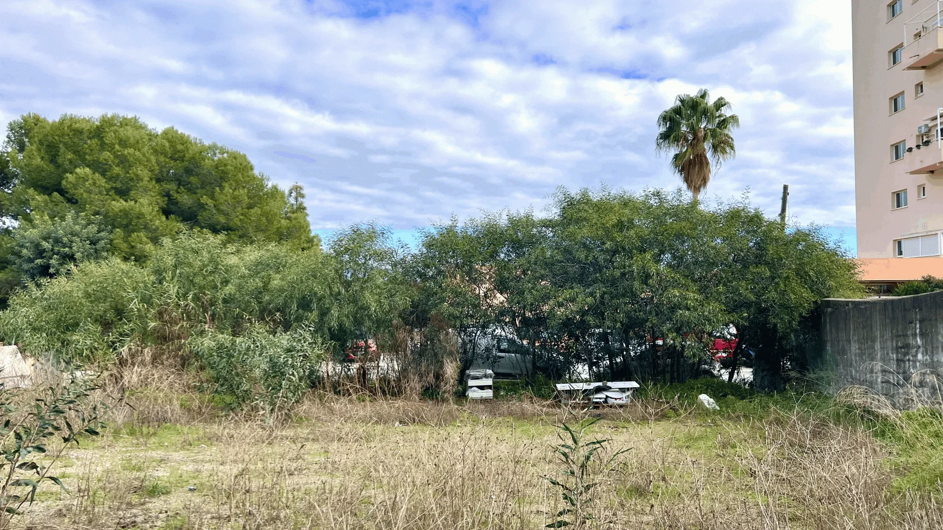 Parcela a la venta en El Padron