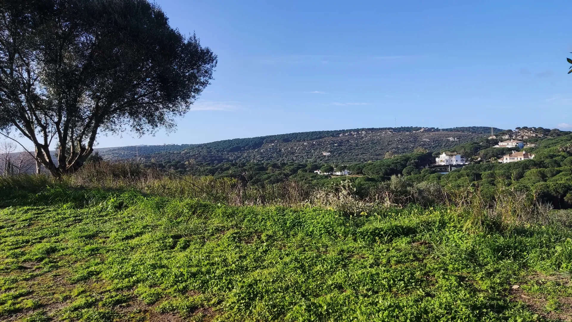 Almenara, parcela a la venta