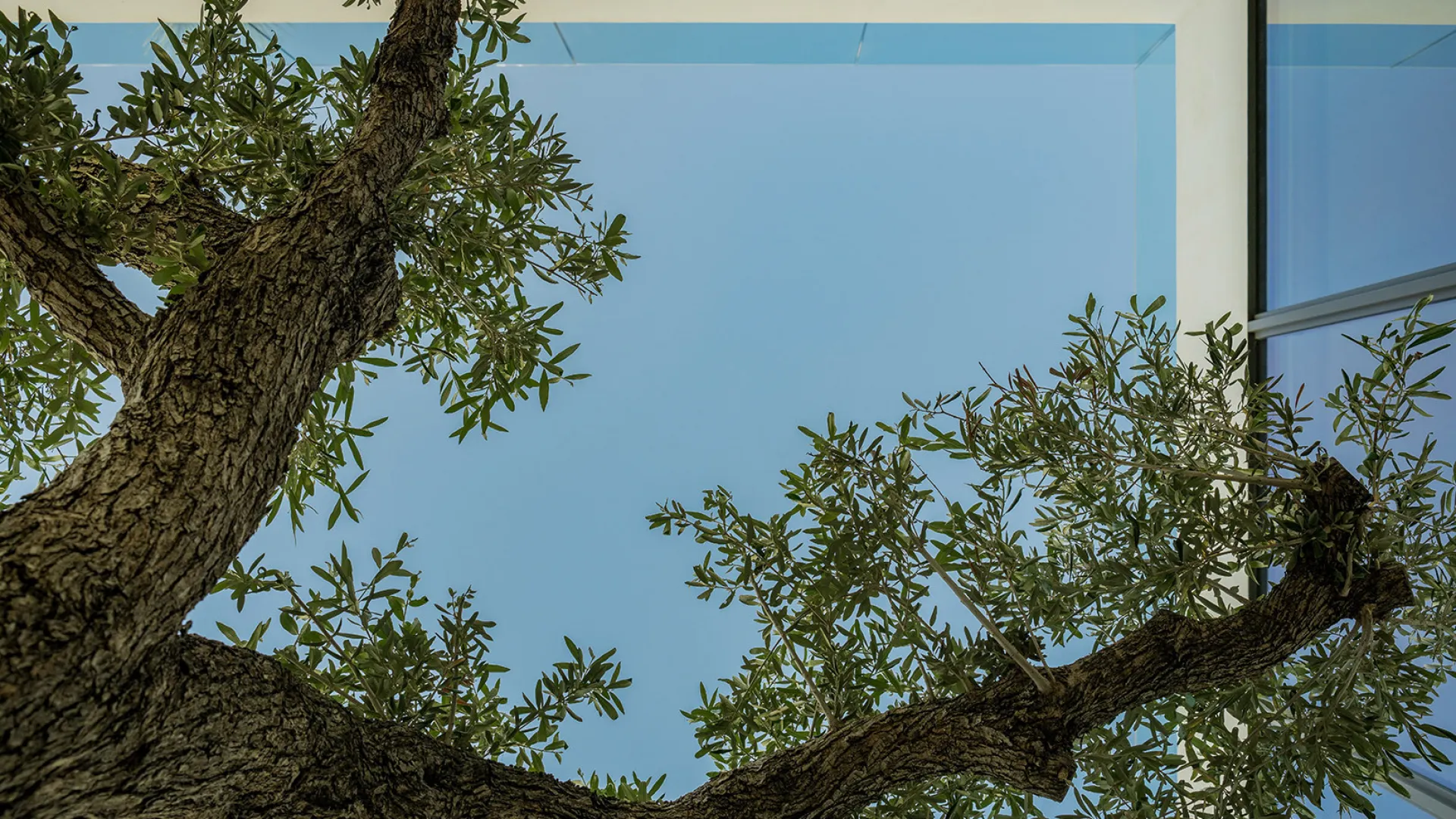 Se vende villa en Golden Mile