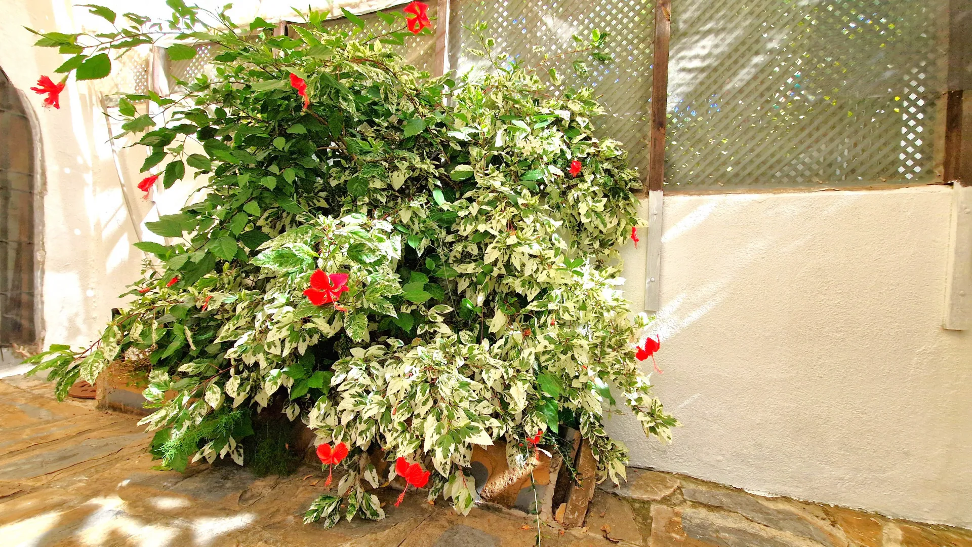 Adosado en venta en Marina de Casares