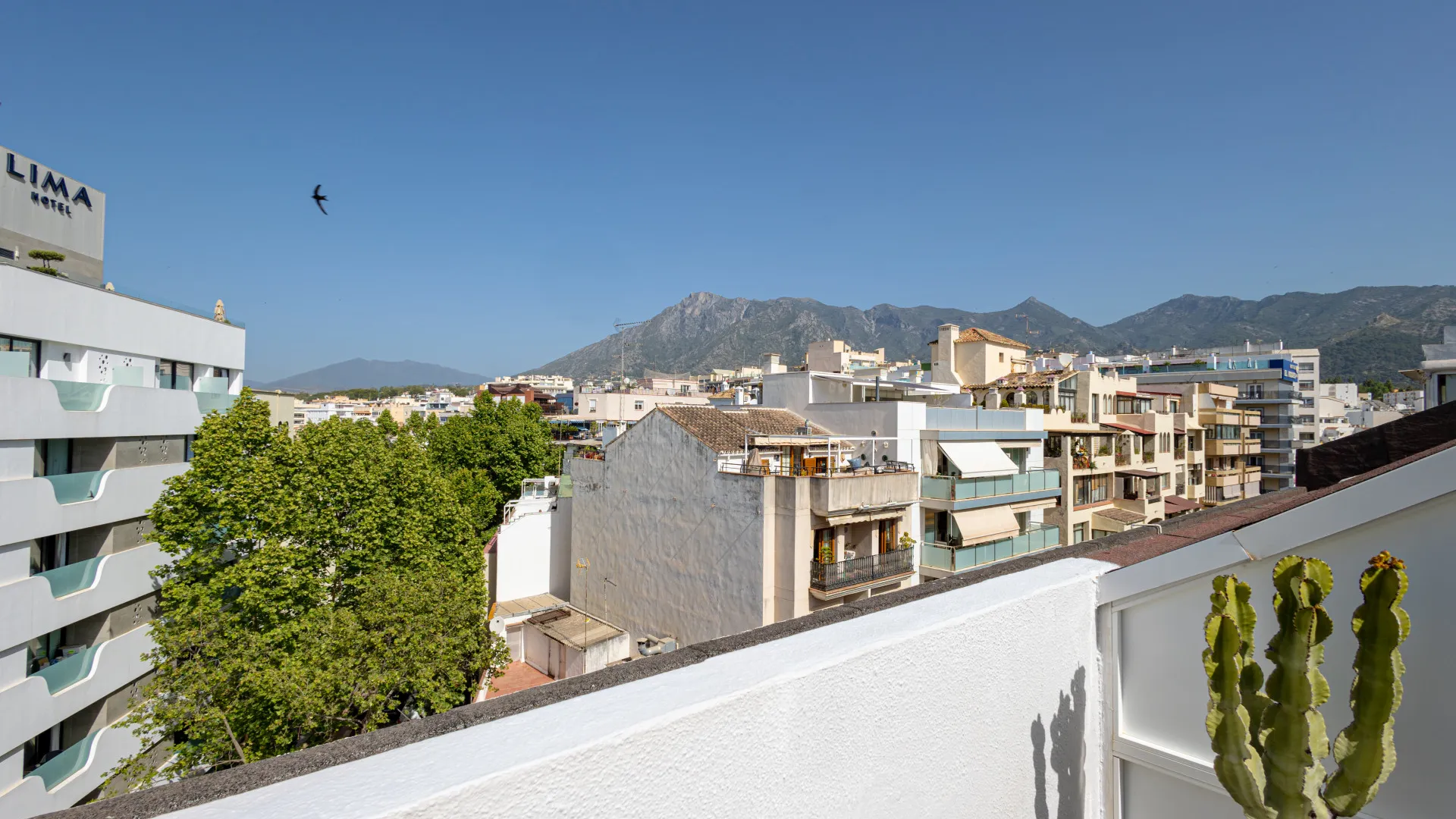Atico duplex de 3 dormitorios en venta en Marbella Centro