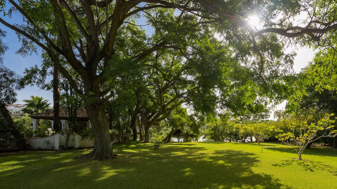 Benahavis, villa en venta con 6 dormitorios