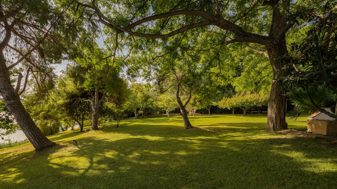 Benahavis, villa en venta con 6 dormitorios