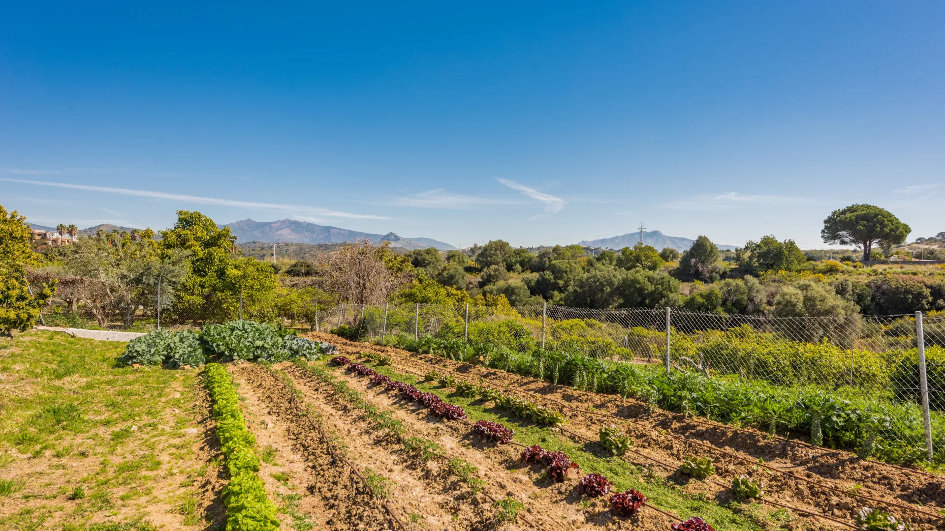 Comprar villa con 3 dormitorios en El Padron