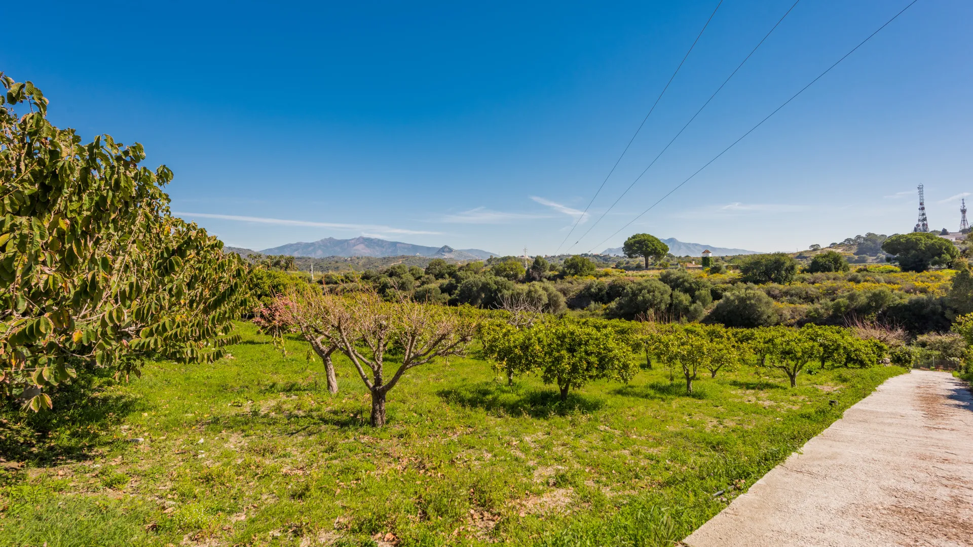 Comprar villa con 3 dormitorios en El Padron