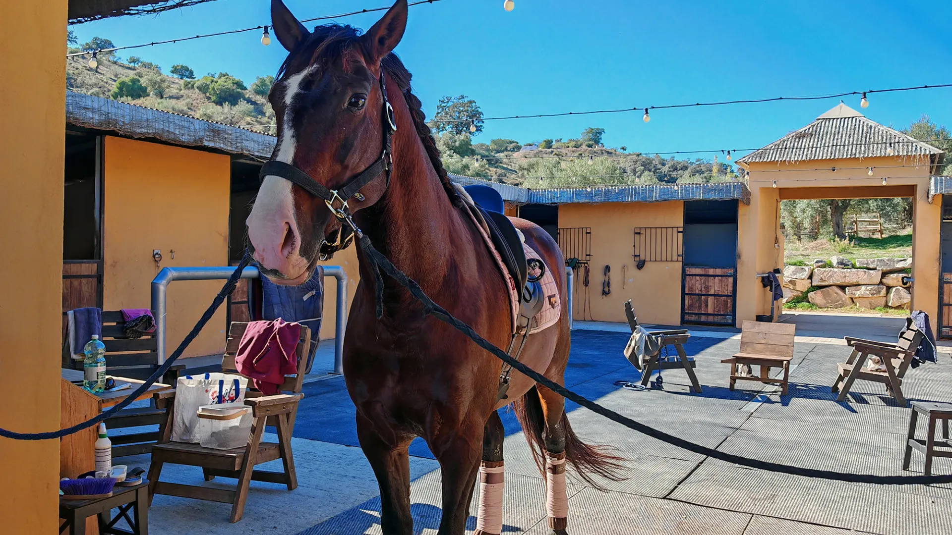 Coin, finca en venta