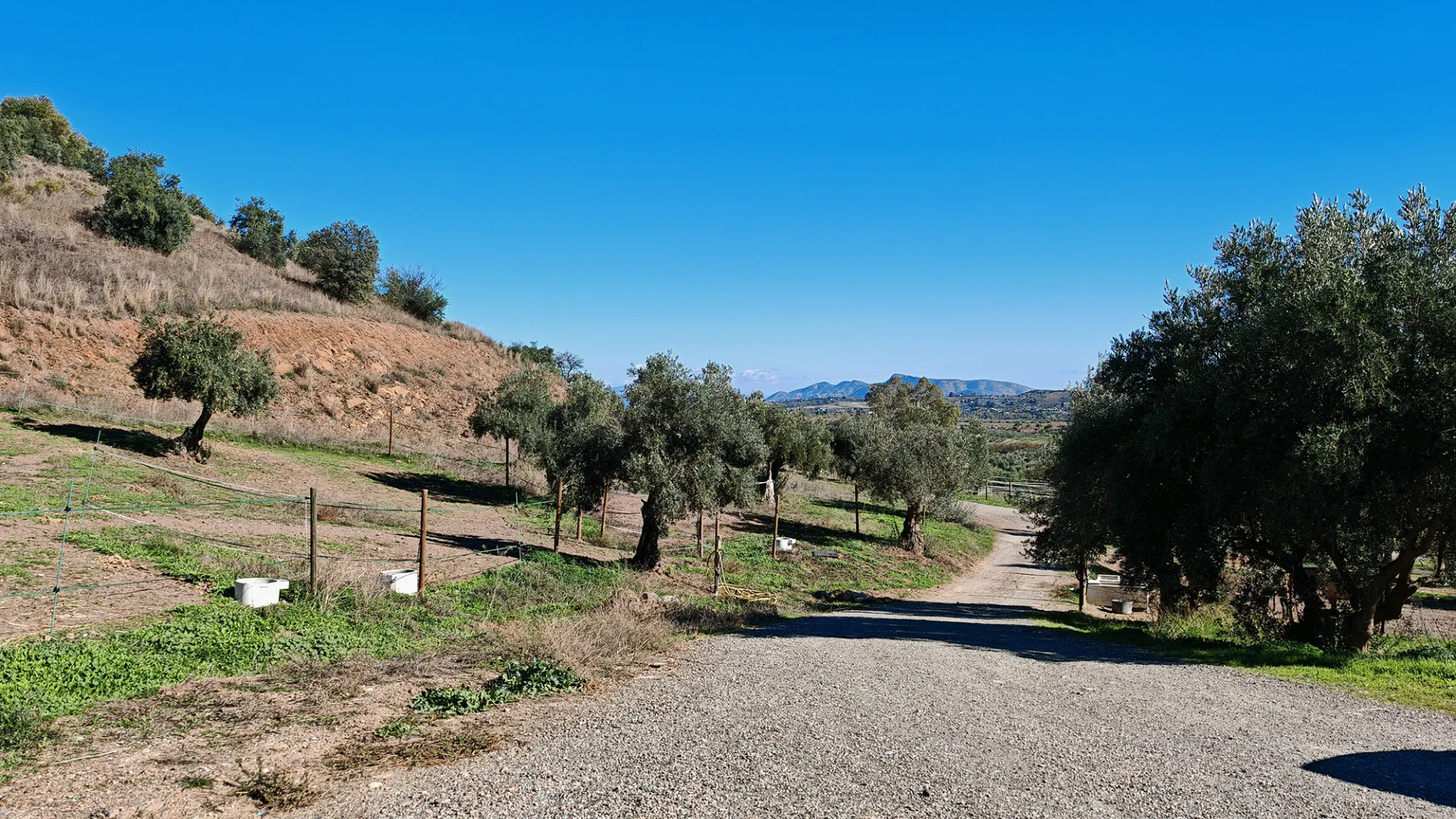 Coin, finca en venta